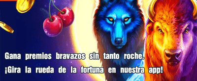 ¡Regístrate en Bet4 y gana!